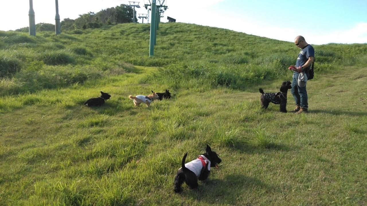 ワンコと泊まるジャスミンクリーク Otel Toyooka  Dış mekan fotoğraf